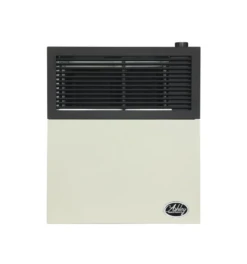 Ashley Propane Direct Vent Heater DVAG11L (11,000 Btu)