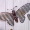 Galvanized Butterfly Hanger 18" -camping shop MAF11068 600x415 1
