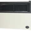 Ashley Propane Direct Vent Heater DVAG17L (17,000 Btu) 1 Ashley Propane Direct Vent Heater DVAG17L (17,000 Btu) -camping shop dvag17n detailed product view 1