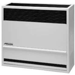 Williams Direct-Vent Heater 22,000 BTU - LP